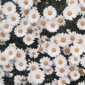 Meet your Posher, Quinn